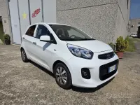 Usata Kia Picanto 66 CV (48 kW) 2016 Bianco Utilitaria