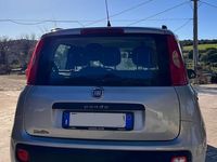 usata Fiat Panda 