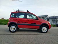 Usata Fiat Panda 4x4 60 CV (44 kW) 2006 Rosso Utilitaria