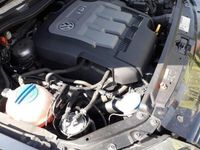 usata VW Polo Polo 1.2 TDI DPF 3 p. Comfortline