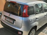Usata Fiat Panda Easy 69 CV (50 kW) 2018 Grigio Utilitaria