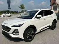 Nuova EVO Evo 6 176 CV (129 kW) 2026 SUV