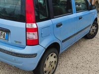 Usata Fiat Panda Dynamic 60 CV (44 kW) 2009 Blu Utilitaria