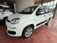 Usado Fiat Panda Lounge 80 HP (58 kW) 2016 Branco Citadino