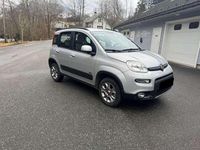 Usata Fiat Panda 4x4 86 CV (63 kW) 2016 Argento Utilitaria
