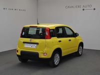 Nuova Fiat Panda Pop 69 CV (50 kW) 2025 Giallo Utilitaria