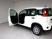 usata Fiat Panda 1.0 HYBRID 70CV LIFE