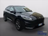 Usata Ford Kuga Titanium X 150 CV (110 kW) 2023 Grigio SUV
