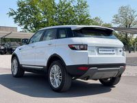 Usata Land Rover Range Rover evoque Dynamic 190 CV (139 kW) 2013 Bianco SUV
