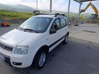 Usata Fiat Panda 4x4 Climbing 69 CV (50 kW) 2009 Utilitaria