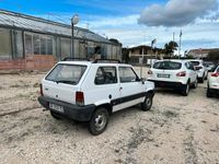 usata Fiat Panda 4x4 1100 i.e. cat Country Club Benzina/