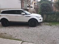 Usata Land Rover Range Rover evoque Dynamic 150 CV (110 kW) 2013 Bianco SUV