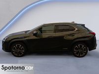 usata Lexus UX Hybrid 4WD Premium del 2020 usata a Sesto San Giovanni