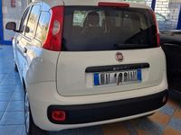 usata Fiat Panda 1.2 benz 2019
