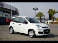 Usata Fiat Panda 2025 Bianco Utilitaria
