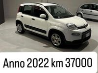 Usata Fiat Panda Easy 69 CV (50 kW) 2021 Utilitaria