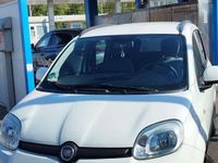 Usata Fiat Panda Lounge 80 CV (58 kW) 2015 Utilitaria