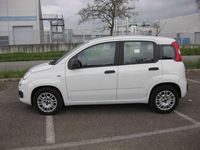 Usata Fiat Panda Easy 69 CV (50 kW) 2020 Bianco Utilitaria
