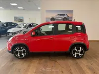 Usata Fiat Panda Sport 69 CV (50 kW) 2022 Rosso Utilitaria