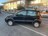 Usata Fiat Panda 4x4 60 CV (44 kW) 2011 Nero Utilitaria