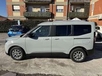 Nuova Ford Tourneo Titanium 125 CV (91 kW) 2025 Cactus grey Furgone