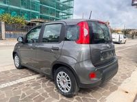 Usata Fiat Panda S 71 CV (52 kW) 2024 Gray Utilitaria