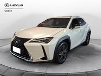 Usata Lexus UX 250h Executive Line 184 CV (135 kW) 2020 Bianco perla SUV