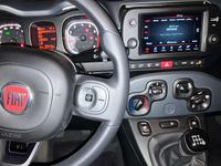 Usata Fiat Panda Cross Cross 69 CV (50 kW) 2024 Rosso Utilitaria