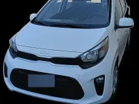 Usata Kia Picanto Urban 67 CV (49 kW) 2023 Bianco Utilitaria