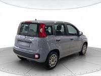 Usata Fiat Panda Lounge 69 CV (50 kW) 2018 Grigio Utilitaria