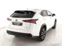Usata Lexus NX300h Sport Line 155 CV (114 kW) 2019 Bianco SUV
