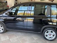 Usata Fiat Panda S 70 CV (51 kW) 2023 Nero Utilitaria