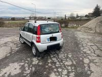 Usata Fiat Panda 4x4 2013 Utilitaria