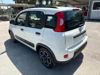 Usata Fiat Panda City Life 71 CV (52 kW) 2021 Bianco Utilitaria