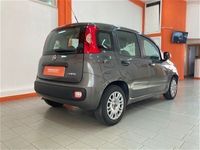 usata Fiat Panda panda1.0 FireFly S&S Hybrid