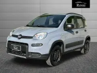 Usata Fiat Panda 4x4 S 86 CV (63 kW) 2019 Grigio Utilitaria