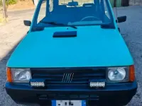 Usata Fiat Panda 4x4 50 CV (36 kW) 2002 Verde Utilitaria