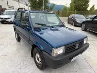 Usata Fiat Panda 4x4 Trekking 54 CV (39 kW) 2001 Blu Utilitaria