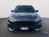Usata Ford Kuga ST-Line X 225 CV (165 kW) 2023 Grigio SUV