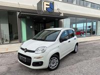 Usata Fiat Panda Easy 69 CV (50 kW) 2020 Bianco Furgone