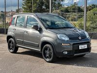 Usata Fiat Panda Cross Cross 85 CV (62 kW) 2020 Grigio Utilitaria