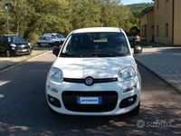 Usata Fiat Panda Easy 85 CV (62 kW) 2018 Bianco Berlina