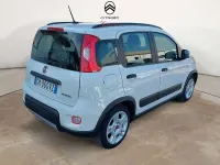 Usata Fiat Panda City Life 69 CV (50 kW) 2023 Bianco Utilitaria