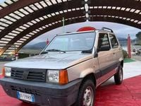 Usata Fiat Panda 4x4 54 CV (39 kW) 2001 Utilitaria