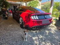 Usata Ford Mustang Fastback 291 CV (214 kW) 2020 Rosso Coupé