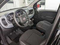 Usata Fiat Panda S 69 CV (50 kW) 2023 Nero Utilitaria