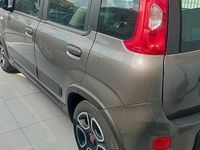 Usata Fiat Panda 69 CV (50 kW) 2021 Grigio Utilitaria