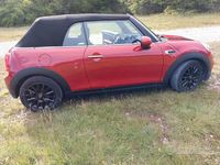 Usata Mini Cooper Cabriolet 136 CV (100 kW) 2016 Rosso Cabrio