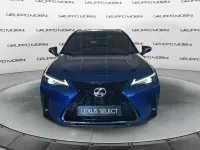 Usata Lexus UX 199 CV (146 kW) 2024 Other SUV