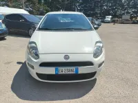 Gebraucht Fiat Punto Street 75 PS (55 kW) 2014 Weiß Kleinwagen